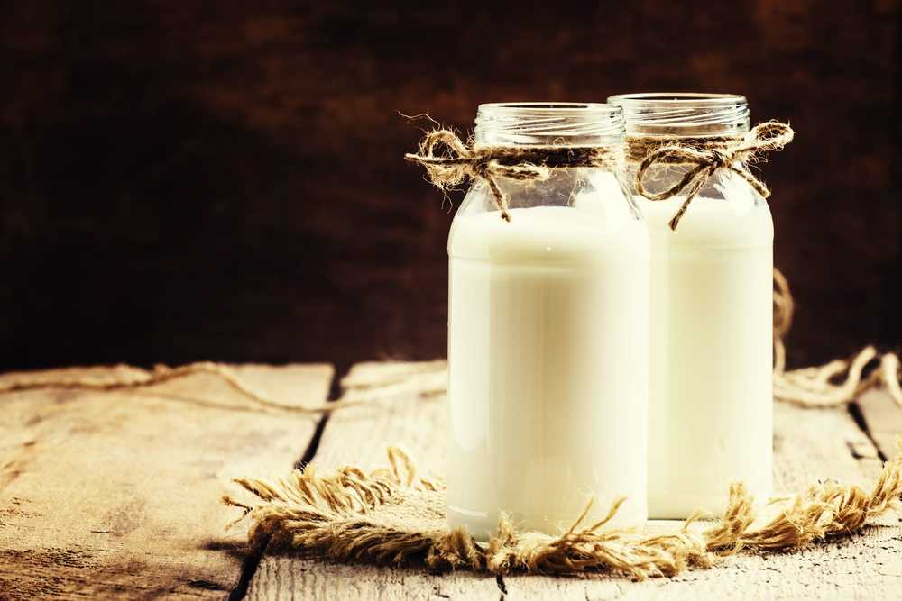 Negado pedido de indenização de cooperativa impedida de vender leite por problema sanitário 1 | Juristas Créditos: 5PH / Shutterstock.com