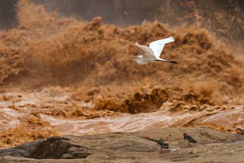 Prazo para Samarco, Vale e BHP depositarem R$ 1,2 bilhão é prorrogado de novo