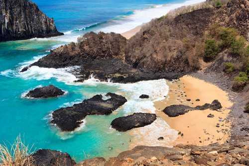 Turista mordida por tubarão em Fernando de Noronha é multada em R$ 10 mil 1 | Juristas Fernando de Noronha