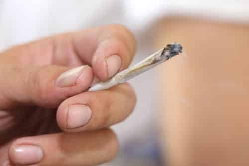 Correria na frente de casa noturna legitima incursão que prendeu homem com 37 kg de maconha 2 | Juristas Uso de maconha por sócio durante reuniões resulta em rescisão indireta de contrato de supervisora