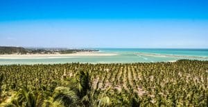 Fotógrafo processa afiliada da TV Record em Alagoas 2 | Juristas giuseppe stuckert - praia do gunga