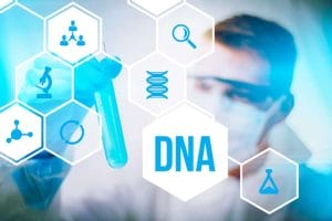 DNA: Justiça autoriza exumação de cadáver para investigação de paternidade póstuma 2 | Juristas DNA: Justiça autoriza exumação de cadáver para investigação de paternidade póstuma | Juristas