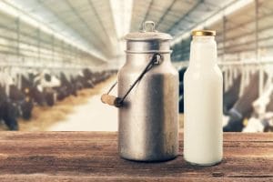 Veterinário acusado de fraudar leite