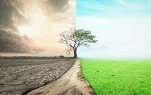 Reparação não exime responsável por dano ambiental do pagamento de indenização 1 | Juristas indenização
