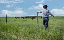 Atraso no pagamento das parcelas justifica execução de dívida rural 1 | Juristas justiça gratuita