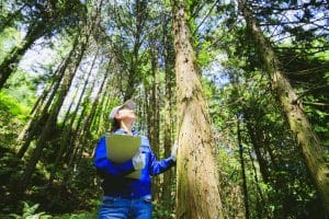 Ação popular sobre Floresta Nacional de Caçador pode ter audiência de conciliação | Juristas