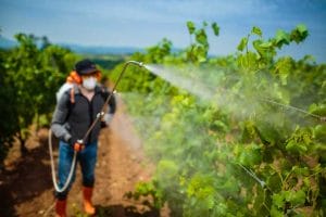 STF invalida trechos de decreto que flexibilizaram controle de qualidade de agrotóxicos | Juristas