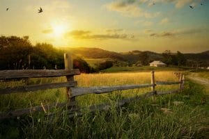 Produtora rural consegue na Justiça recebimento de salário-maternidade 1 | Juristas Produtora rural consegue na Justiça recebimento de salário-maternidade | Juristas