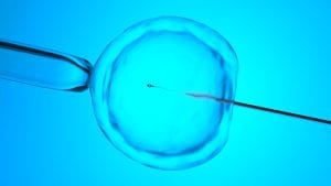 Disputa em caso de fertilização in vitro é julgada pelo TJMG 1 | Juristas Inseminação Artificial - Fertlização in vitro