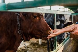 Proprietário deve indenizar trabalhador rural que teve o nome usado ilegalmente | Juristas