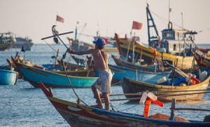 TRF1 garante direito de pescador artesanal ao benefício de aposentadoria rural por idade | Juristas