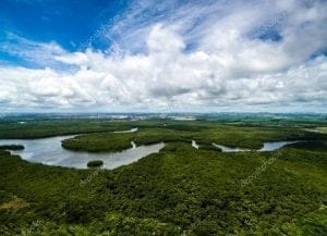 Ministro Flávio Dino diz que governo vai aumentar forças de segurança na Amazônia | Juristas