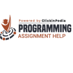 Programming Assignment Help